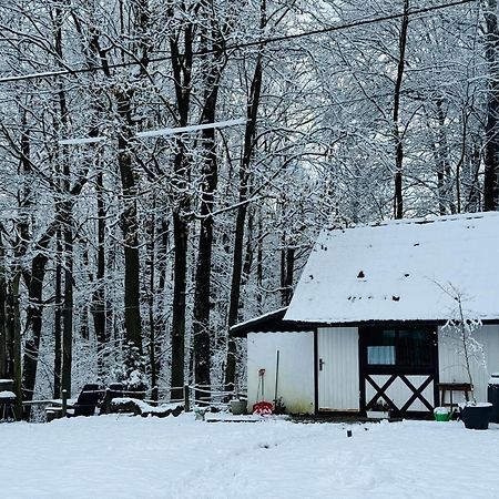Romantyczna Chatka Pisarzowice  Exteriör bild