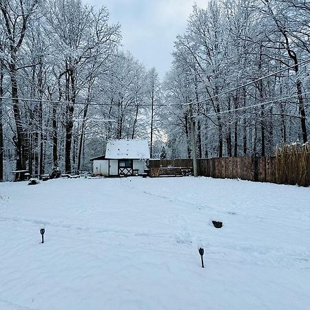 Romantyczna Chatka Pisarzowice  Exteriör bild