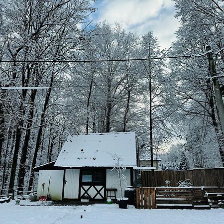 Romantyczna Chatka Pisarzowice  Exteriör bild