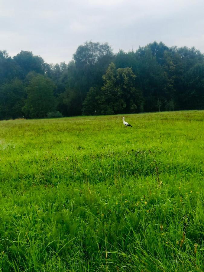 Romantyczna Chatka Pisarzowice  Exteriör bild