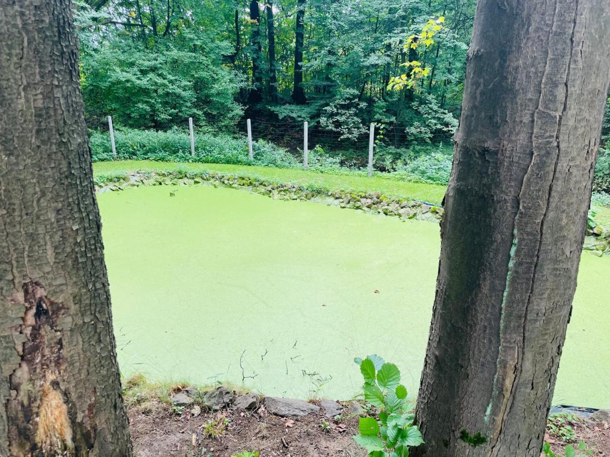 Romantyczna Chatka Pisarzowice  Exteriör bild