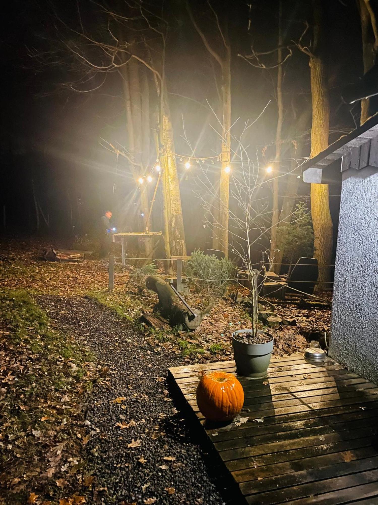 Romantyczna Chatka Pisarzowice  Exteriör bild