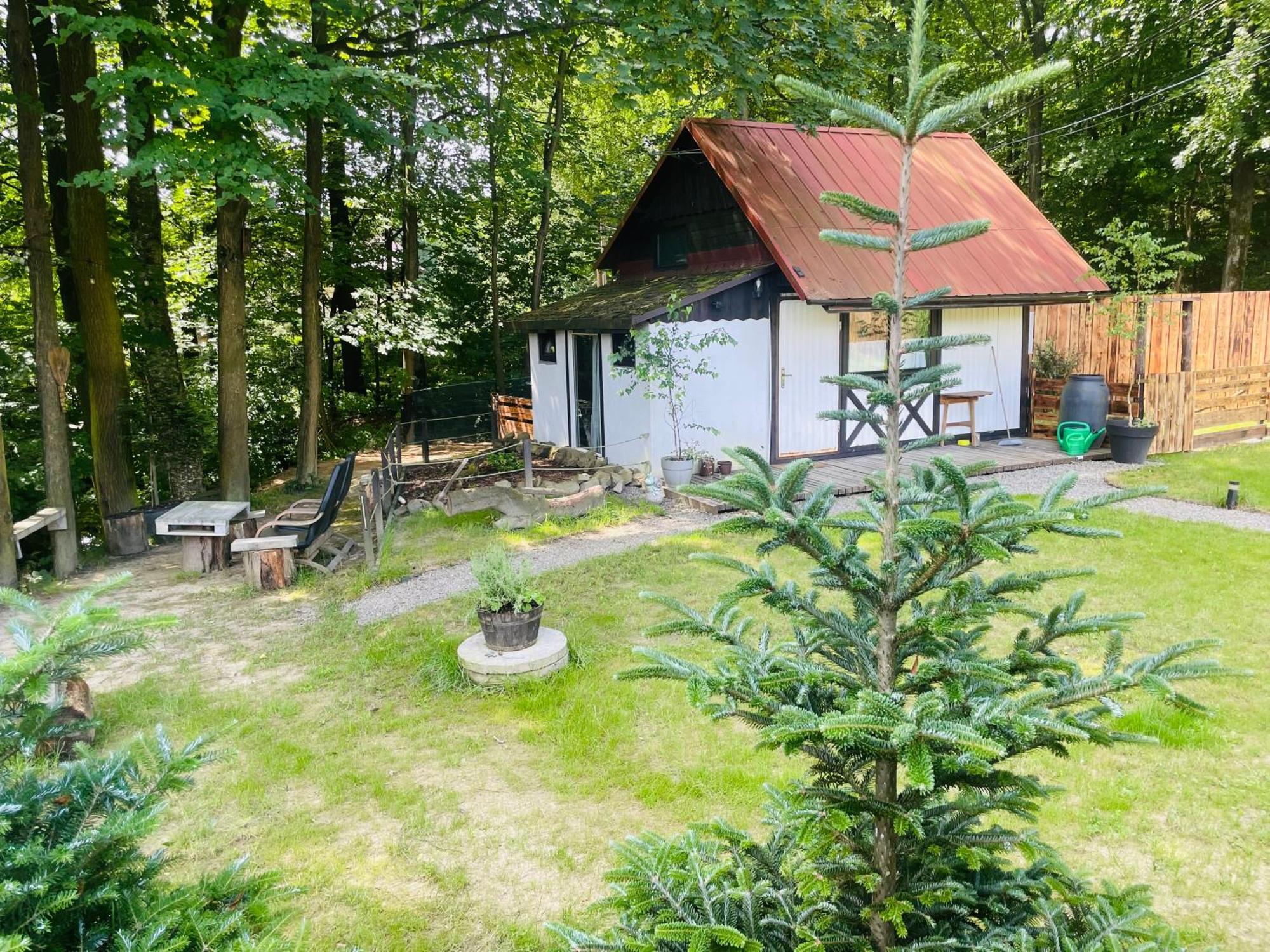Romantyczna Chatka Pisarzowice  Exteriör bild