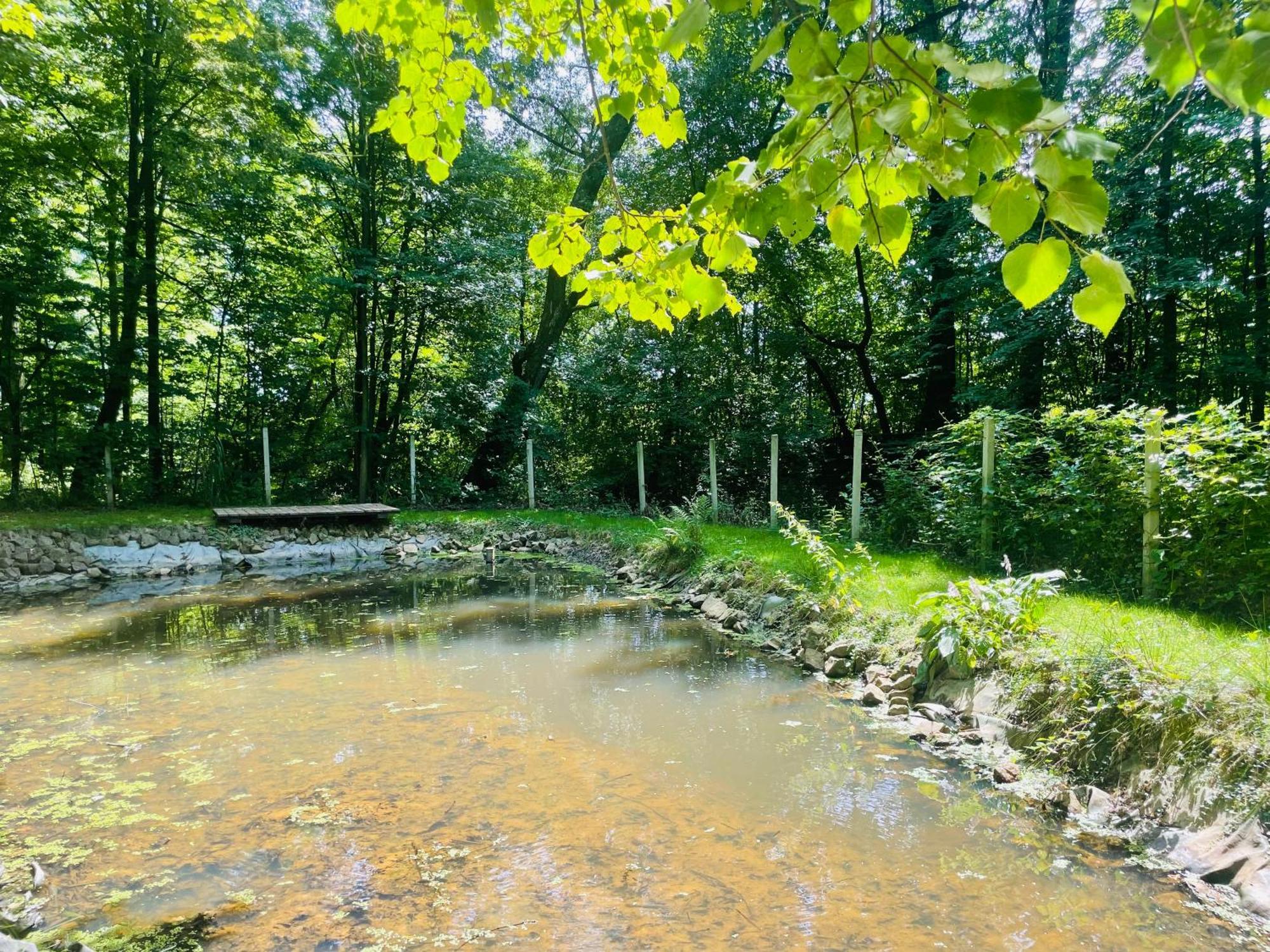 Romantyczna Chatka Pisarzowice  Exteriör bild