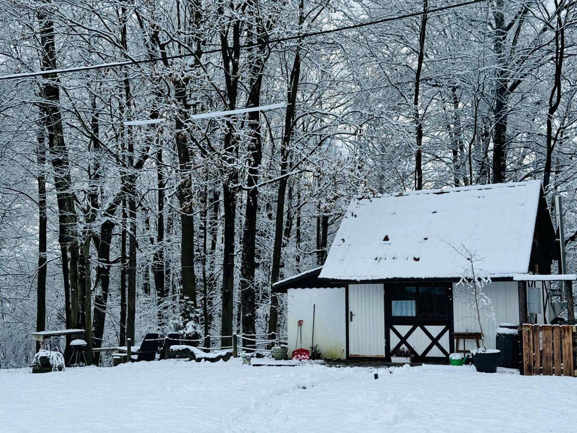 Romantyczna Chatka Pisarzowice  Exteriör bild