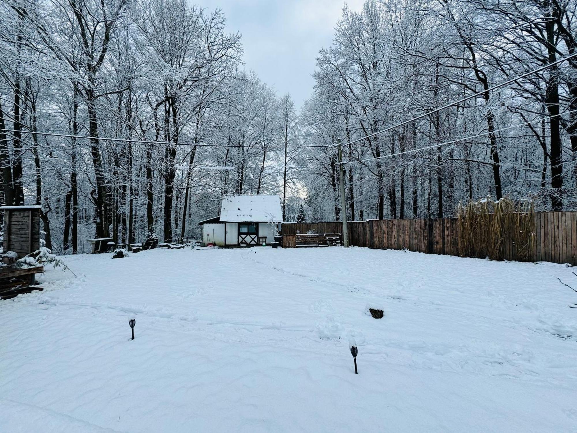 Romantyczna Chatka Pisarzowice  Exteriör bild