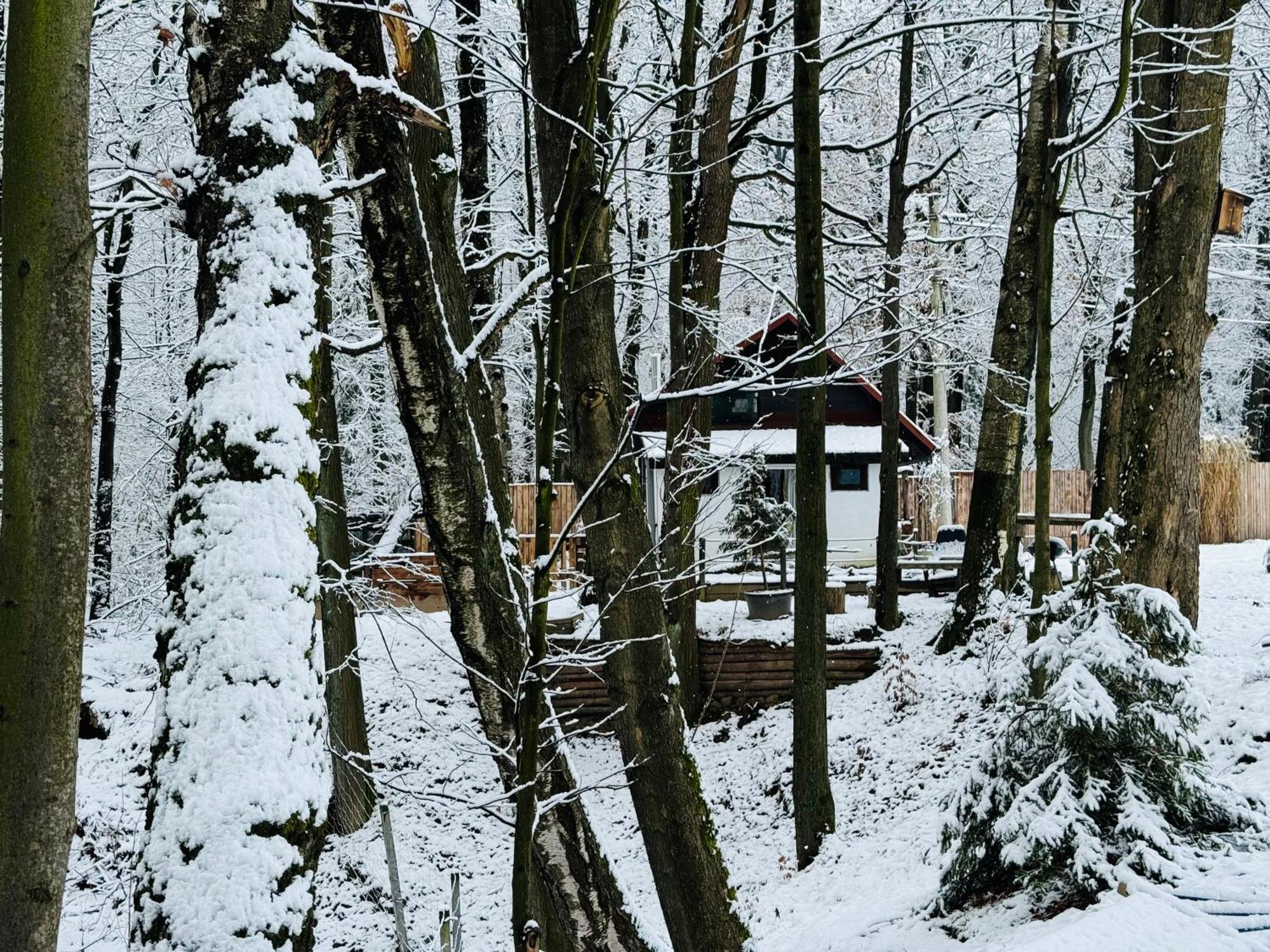 Romantyczna Chatka Pisarzowice  Exteriör bild