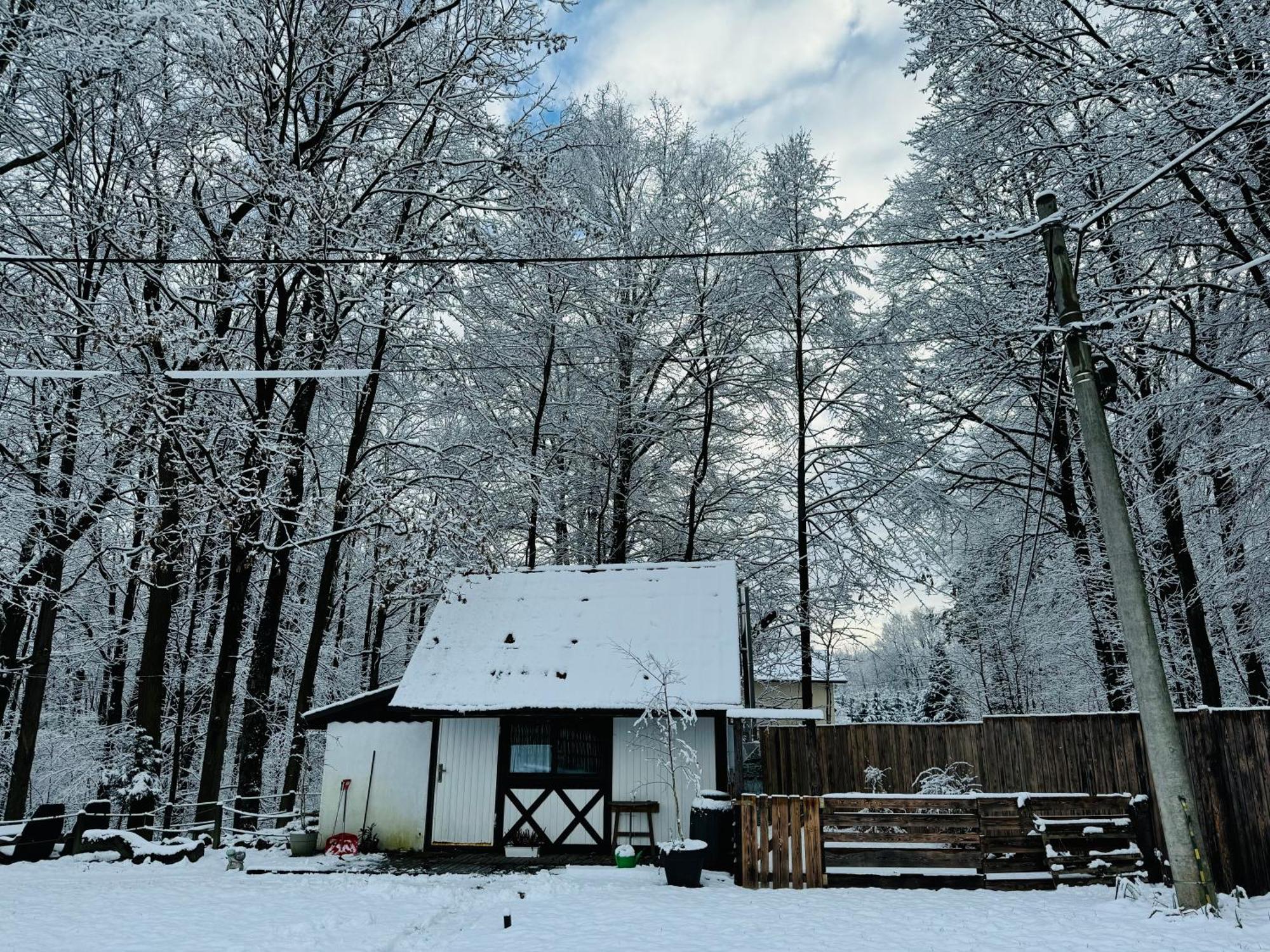 Romantyczna Chatka Pisarzowice  Exteriör bild